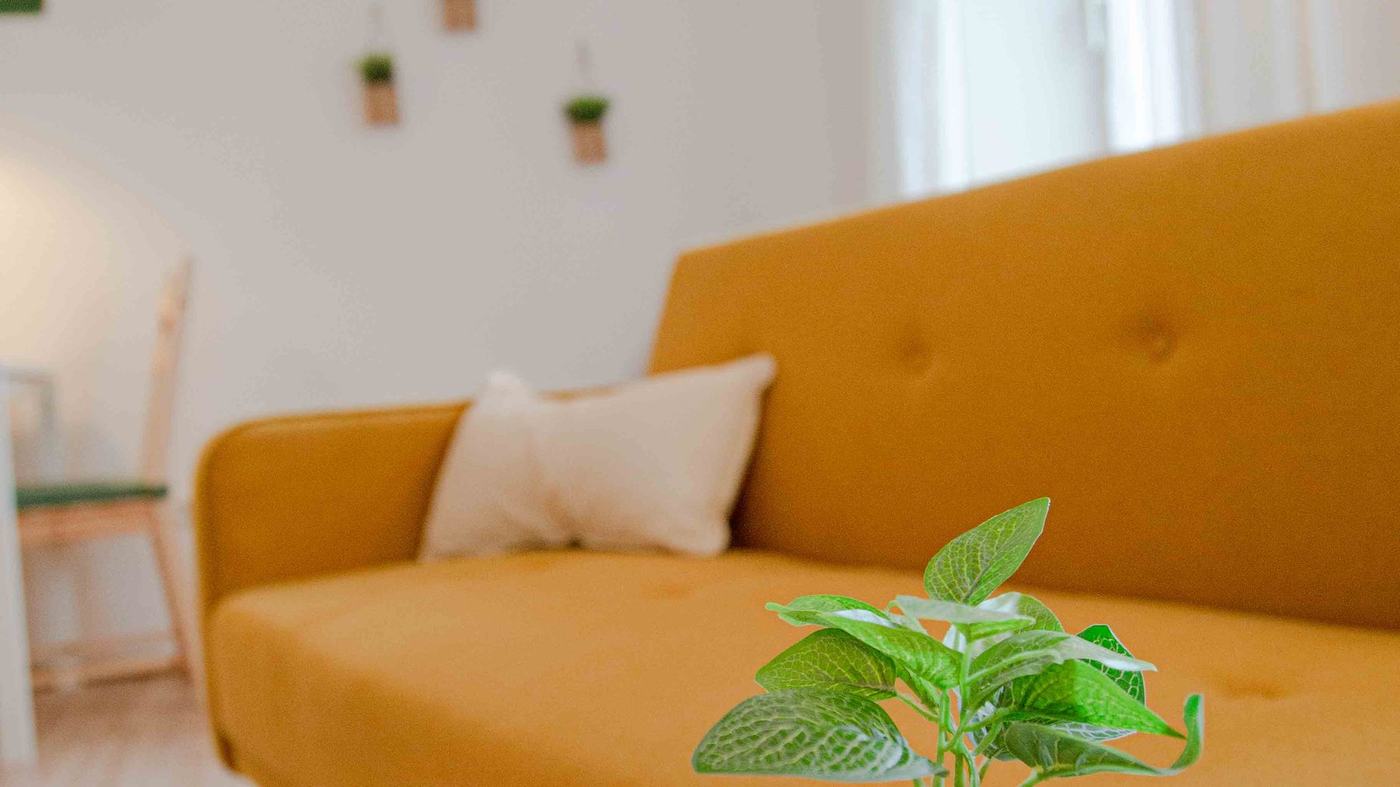 Wohnzimmer im Erdgeschoss mit gelbem Sofa